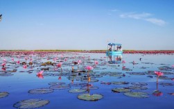 红莲湖风景区