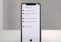 苹果怎么设置通知闪光？iPhone来电闪光灯怎么开启