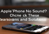 苹果手机来电话没声音？这5个原因和解决方法快看！