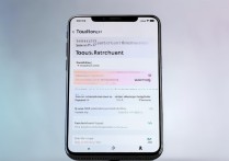 vivo手机分屏用不了怎么办？分屏功能开启失败如何解决？