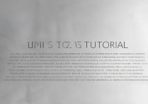 捡的vivo Z5强制解锁方法是什么？