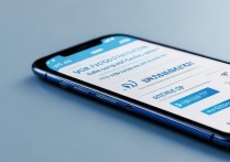 oppo语音通话怎么收费？套餐外和漫游费用是多少？