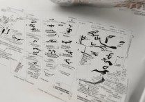 抖音快拍怎么打开？新手开启步骤详解在这里！