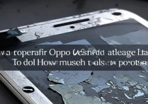 oppo r7屏幕漏液怎么修自己能处理吗要花多少钱