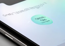 OPPO手机如何录屏小布语音助手？