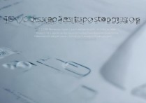 怎么打开桌面设置vivo，vivo手机桌面设置在哪里找