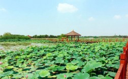 白羊店风景区