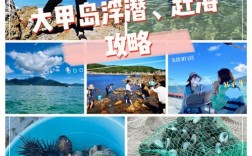 大甲岛旅游攻略，如何规划一次完美的海岛之旅？