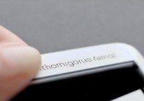 苹果 4s 顶部信息栏怎么收回？手机状态栏自动收起方法