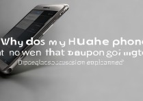 华为手机不插耳机没声音？是什么原因导致的啊？