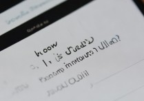 苹果手机页面字体怎么调大？设置方法详解！