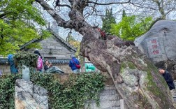 隐山风景区