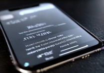 苹果屏幕怎么变小？iPhone屏幕尺寸如何调整变小？