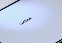 oppo 开发者选项在哪里？