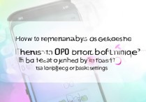 oppo返回键怎么彻底关闭？长按或设置里能永久隐藏吗？