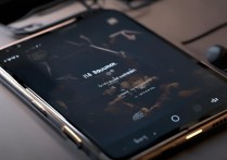 三星手机插耳机有声音但外放没声，是哪里出问题了？