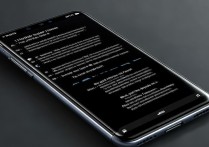 小米12S关闭开发者模式步骤是什么？