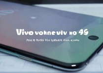 vivo手机怎么没有4g了