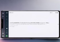 小米MIX FOLD 2怎么查软件流量使用情况？