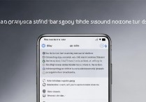 黑鲨4S怎么开充电提示音？开启方法详解