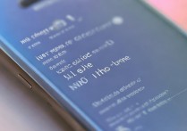 vivo主题为什么换不了怎么办，vivo主题无法更换怎么解决