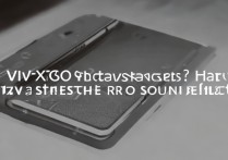 vivoX70有双扬声器吗？立体音效效果怎么样？