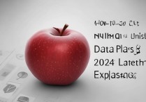 苹果怎么办理无限流量套餐？2024年最新方法有哪些？