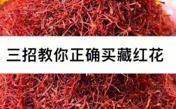 北京哪里买藏红花