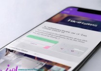 vivo 官网主题怎么使用？vivo 手机主题商店如何下载应用免费主题