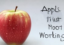 苹果自动时间怎么不对了？苹果手机时间自动设置不准怎么办