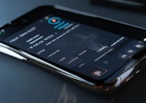 黑鲨5 RS电池损耗怎么查？教你查看电池健康度方法。