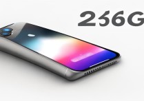苹果手机256g够用吗