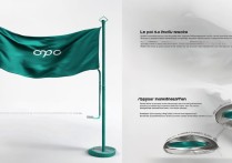 oppo大刀旗怎么安装？步骤详解与注意事项是什么？