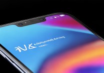 vivo Y18L