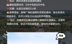 洪湖旅游攻略，如何规划一次完美的洪湖之旅？