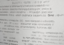 三星怎么看手机支不支持5G？型号查5G支持方法有哪些？