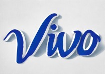 vivo手写