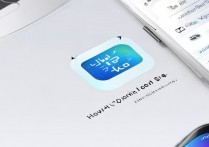 vivox9怎么改变图标大小？系统设置里能调吗？