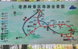 老界岭旅游攻略，如何规划一次完美的旅行体验？