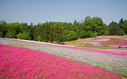 江西南昌凤凰沟景区