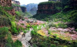 桃花谷风景区在哪里