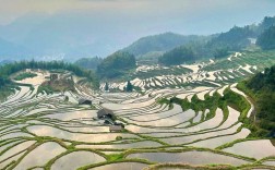 云和梯田景区旅游