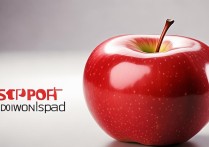apple支持下载