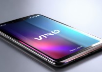 vivo手机锁定