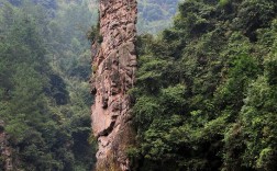 金鞭溪风景区