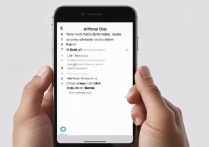 苹果手机7怎么用流量设置？新手必看步骤！