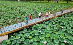 沈阳石佛寺水库风景区