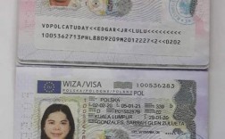 d类签证是什么