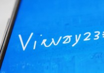 vivoy23l怎么是小卡，vivoy23l用大卡还是小卡