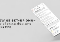 oppo手机怎么设置dns？新手必看详细步骤指南